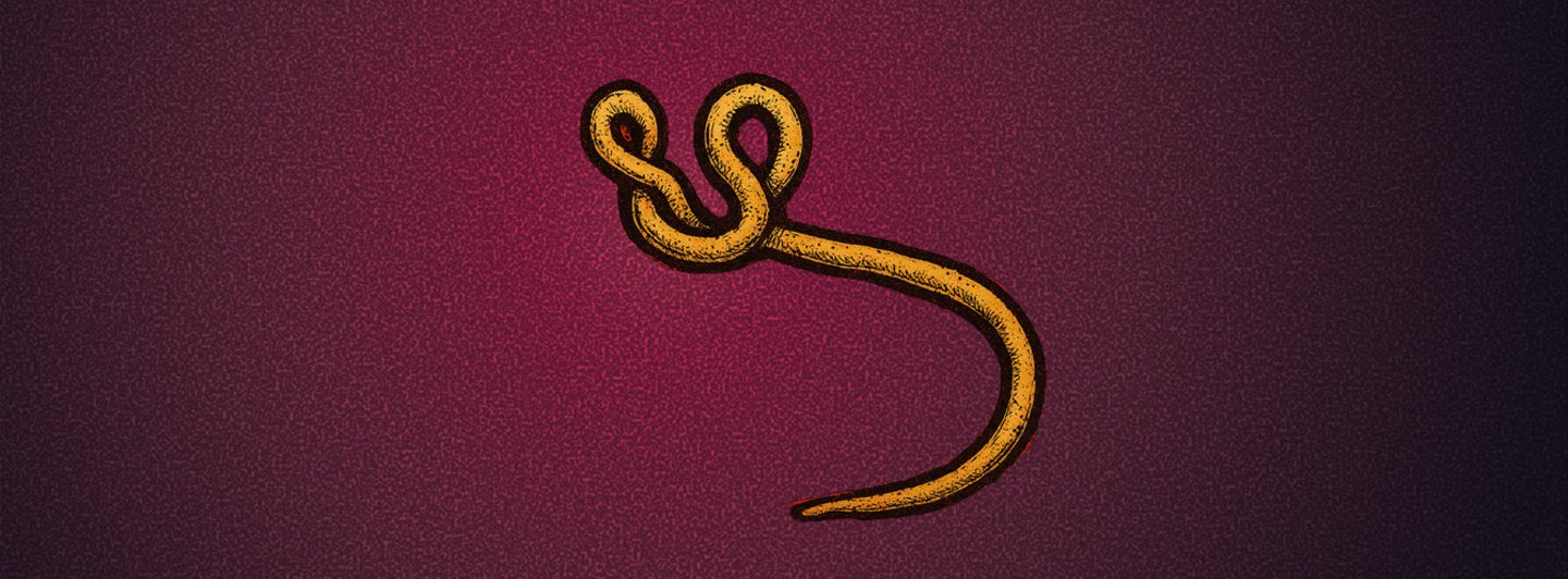 Header-image